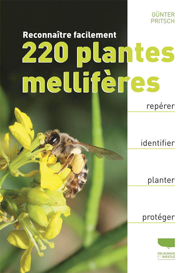 Reconnaître facilement 220 plantes mellifères
