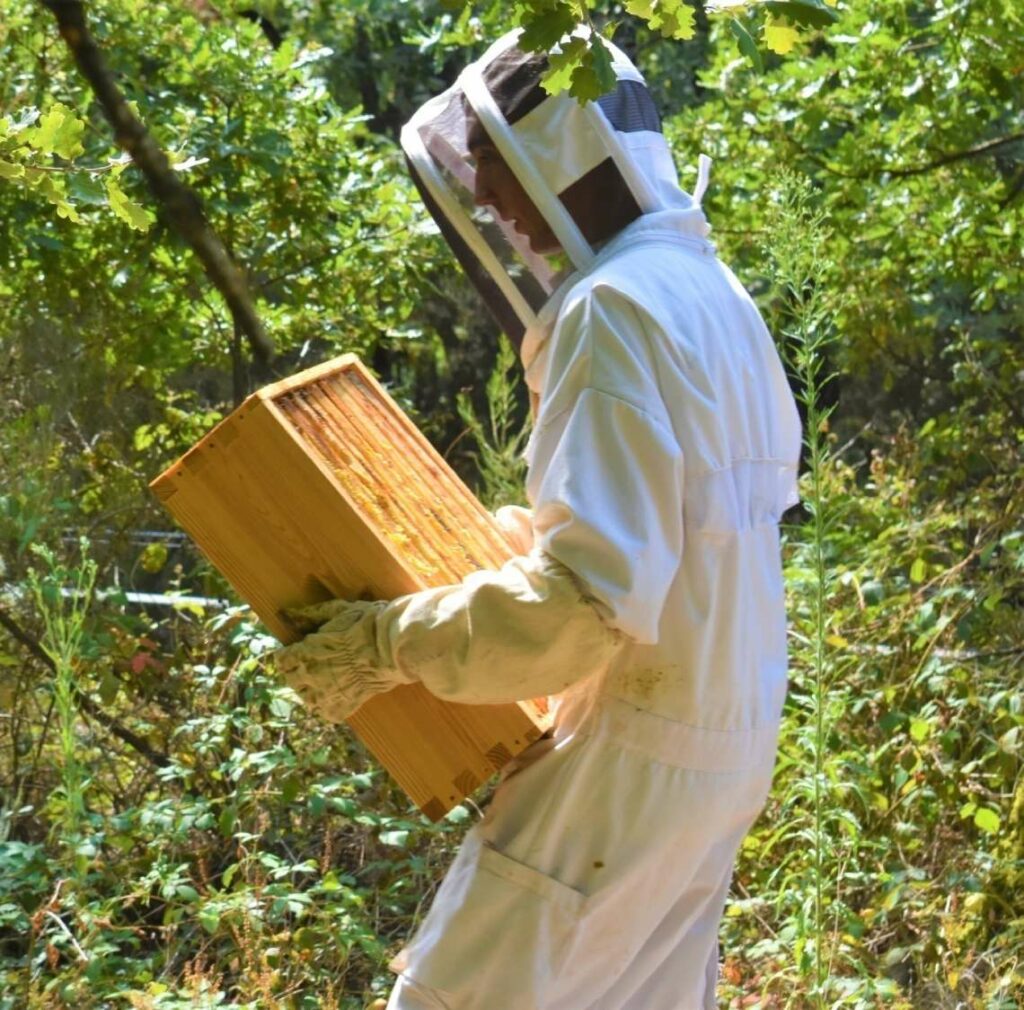 (Placing the rise on a hive)