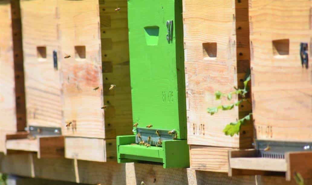Ein Bienenhaus neben den Bienenstöcken. Mit einem farbigen Bienenstock können die Bienen sich besser orientieren.