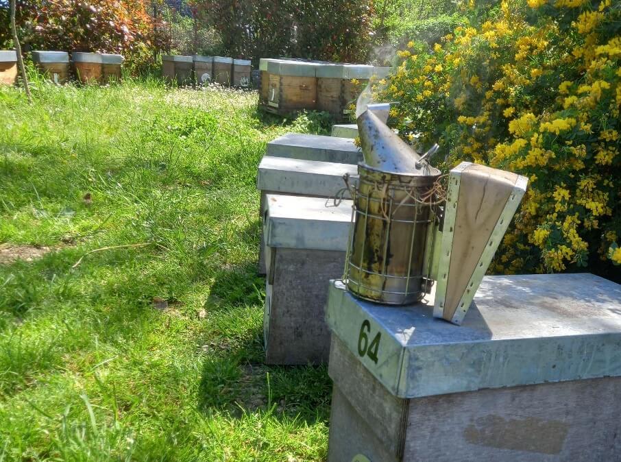 Monitoring swarms created by the beekeeper