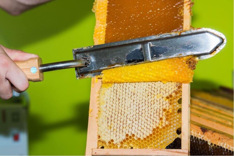Uncapping a honey frame