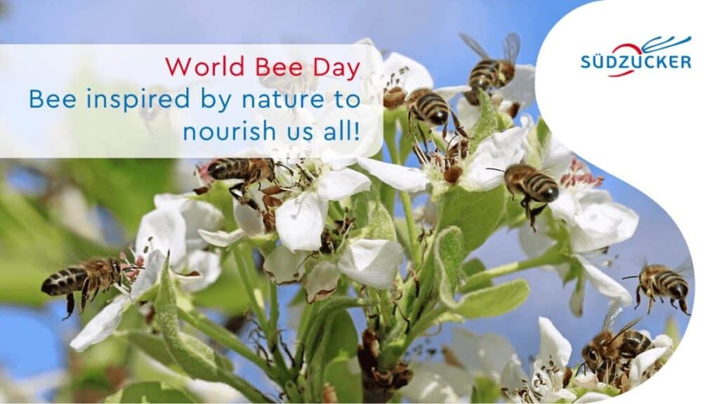 World Bee Day - Bee inspired by nature to nourish us all!