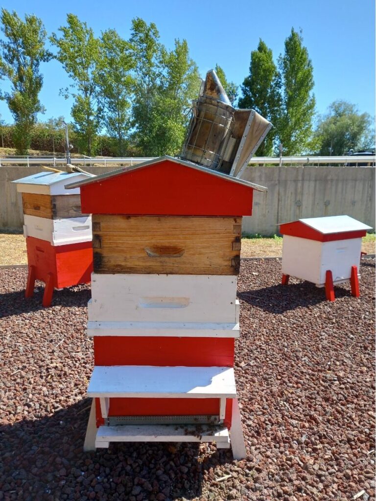 With linseed oil or coloured oil, protect your hive from the outside!